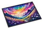 NEW Violets in Color Doormat Front Door Mat Indoor Outdoor Rugs for Entryway, Non Slip Washable Low Pile, 18H X 27W