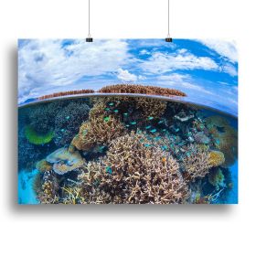 Split Level From Mayotte Reef Canvas Print or Poster (Type: Poster Print, size: 40" x 26" / 100cm x 65cm (approx))